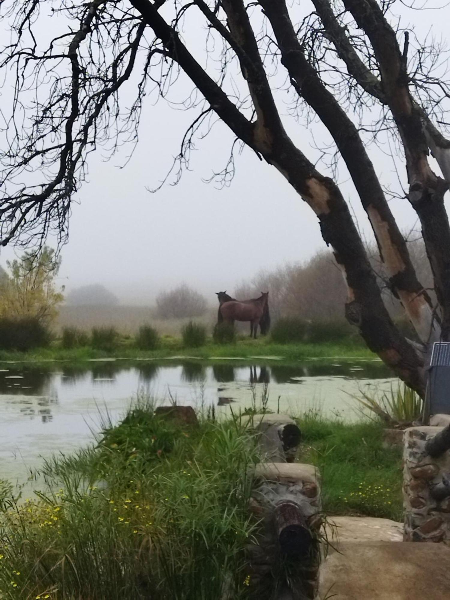 فندق Flitwick Ranch Swartberg المظهر الخارجي الصورة